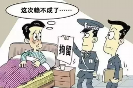 连南企业清欠服务